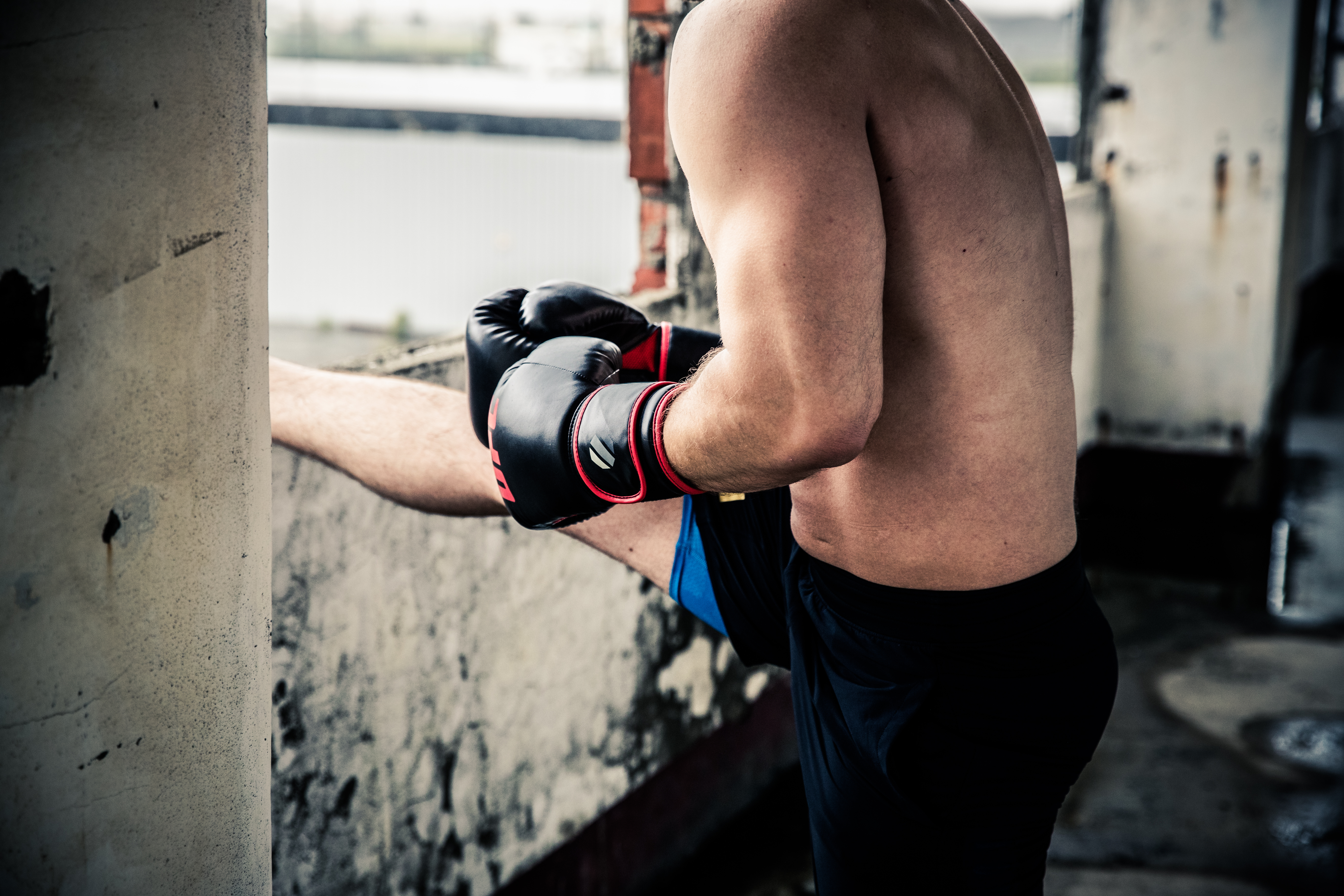 UFC Boxing Training Gloves 12 oz