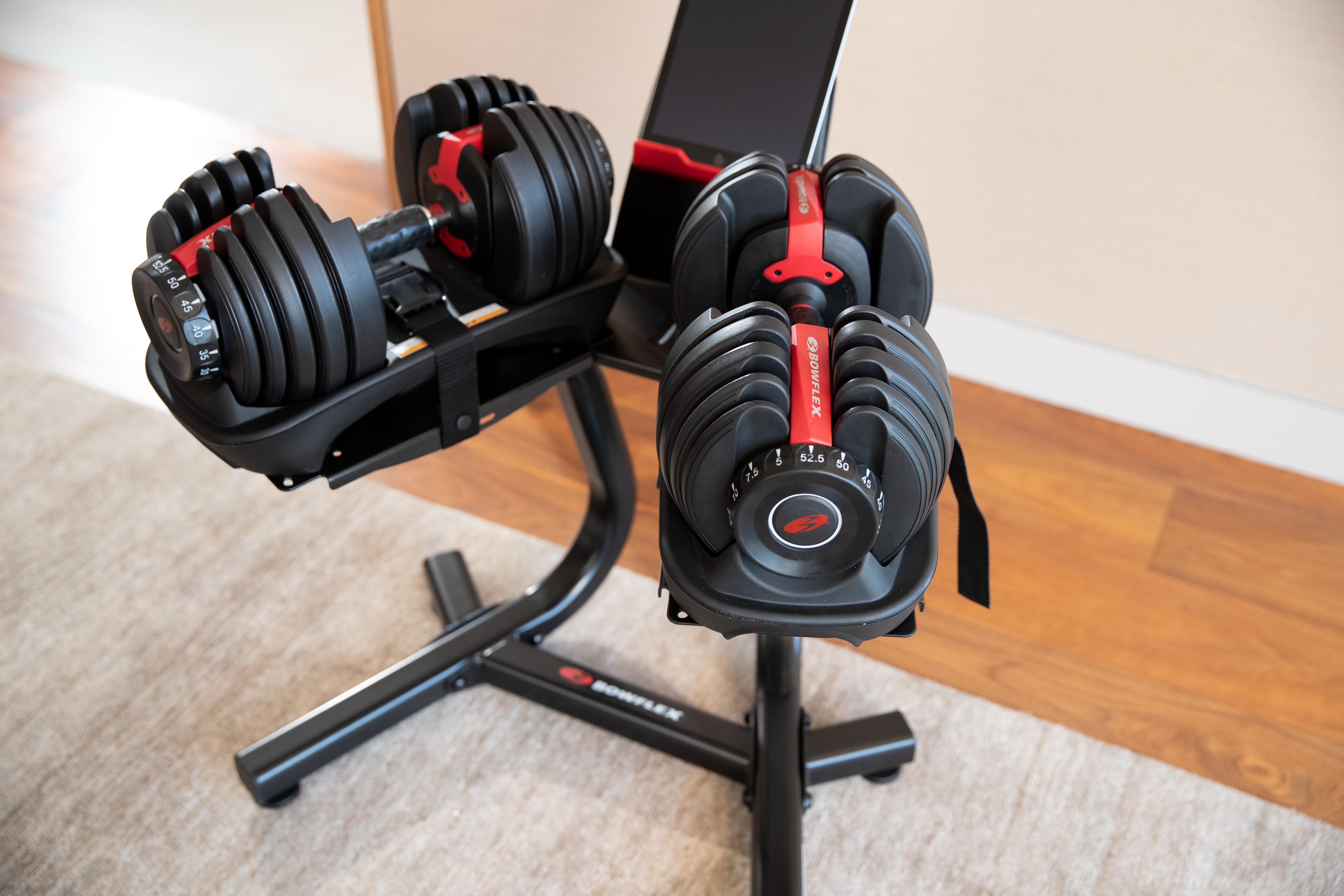 Bowflex SelectTech Stand